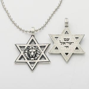 שרשרת אריה מגן דוד עם כלביא