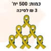 500 סיכות חטופים