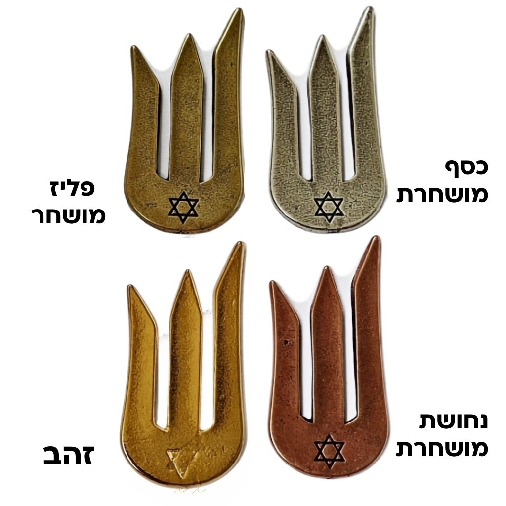 אותיות שין למזוזה דגם 'שירן מגן דוד קטן'